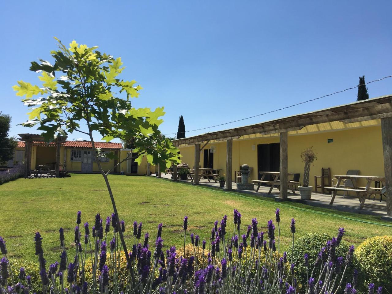 Hotel Quinta San Antonio Nopalucan de la Granja Buitenkant foto