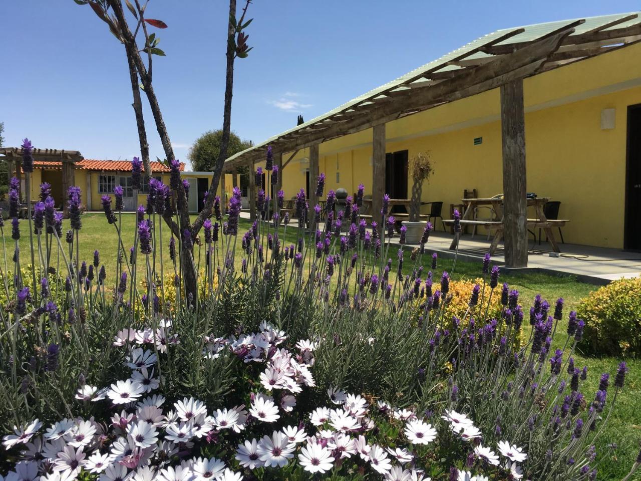 Hotel Quinta San Antonio Nopalucan de la Granja Buitenkant foto